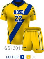 AOSE Soccer