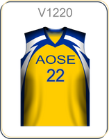 AOSE Voleyball