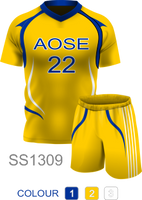 AOSE Soccer