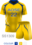 AOSE Soccer